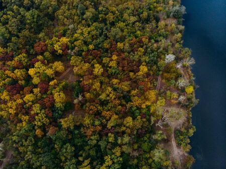 A wonderful view from the drone on a colorful autumn forest with pathway next to the lake.の写真素材