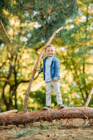 A child boy stands on a fallen tree trunk while walking in the autumn forest.の写真素材