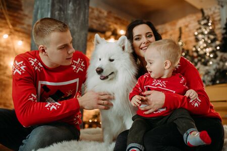 Family with little son sits next to white samoyed dog and has a fun against background of Christmas...