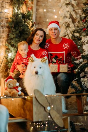 Happy family poses next to white samoyed dog against background of Christmas tree and decorations.の写真素材