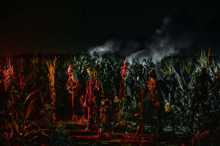 Four undead zombies stand at the edge of a cornfield at night.の写真素材