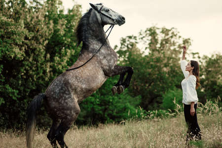 Young woman trains gray horse in pasture and it reared.の写真素材
