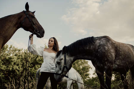Young woman stands in pasture near two horses and holds them by bridle.の写真素材