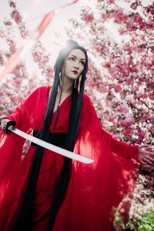 Young woman portrays geisha dressed traditional kimono with Japanese samurai sword in her hand...