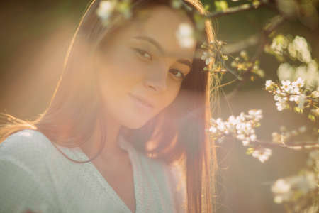 Portrait of young brunette woman among the spring blossoming cherry trees. Backlit.の写真素材