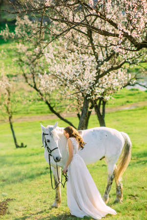 Bride in long white dress leaned against white horse in spring garden against background of blooming apricot trees.の写真素材