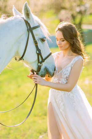 Woman in long white dress stands near white horse and holds it by the reins on meadow.の写真素材