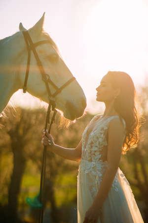 Portrait of woman in white dress near white horse at sunset. Backlight.の写真素材