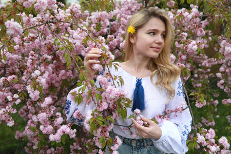 Portrait of young blonde woman in blooming sakura garden dressed in Ukrainian embroidered shirt with...