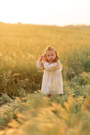 Little child girl walks in white dress among the meadow at sunset.の写真素材