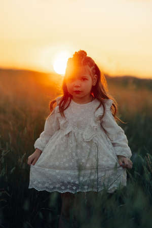 Little child girl walks in white dress on meadow among herbs at sunset.の写真素材