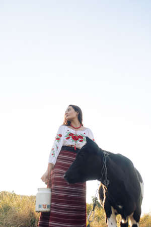 Young Ukrainian woman stands near calf with water can dressed in traditional national embroidered shirt and skirt on pasture. Ethnic ukrainian national clothes style, embroidered shirt. Rural scene.の写真素材