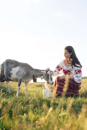 Young Ukrainian woman waters the goat from water can in traditional national embroidered shirt and...