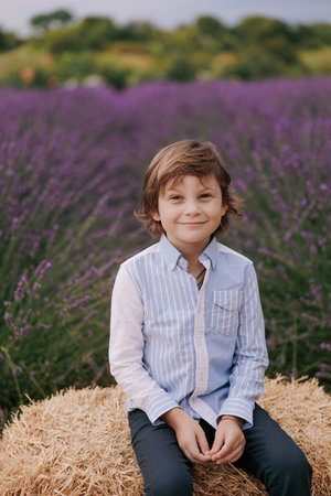 Joyful child boy sitting on hay bale against background of blooming lavender field.の写真素材