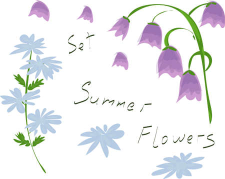 Blue and Violet summer flowers. Bluebells and succory. Violet, pink, blue colors. Watercolor, marker, hand drawn effect. Base of patterns, texture, print, postal card.のイラスト素材