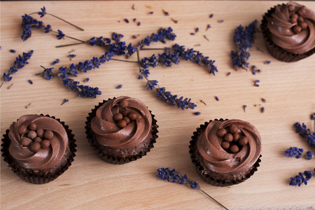 Chocolate Cupcakes on a wooden chopping board and lavender flowersの写真素材