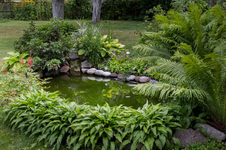 In court, a small artificial pond. In the court near the house, a small artificial pond is surrounded by green bushesの写真素材
