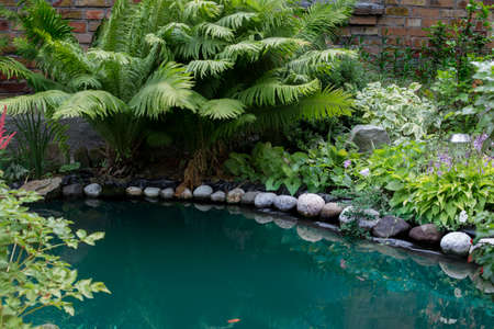 In court, a small artificial pond. In the court near the house, a small artificial pond is surrounded by green bushesの写真素材