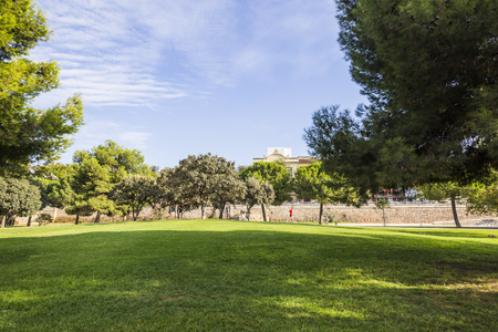 Runners in the Park Turia, Valenciaの写真素材