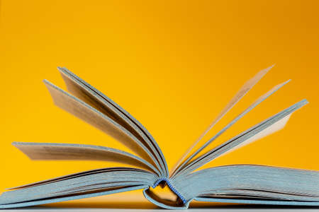 open book with blue pages on a yellow background