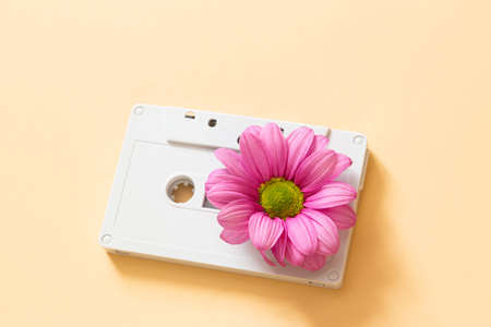fresh music concept, flower inside audio cassetteの写真素材