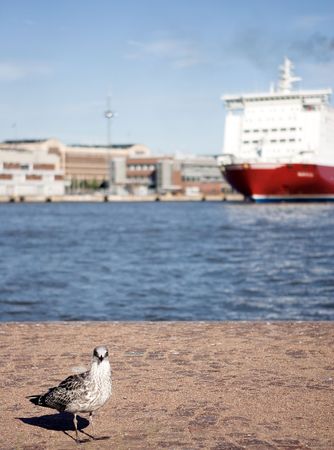 Captainの写真素材