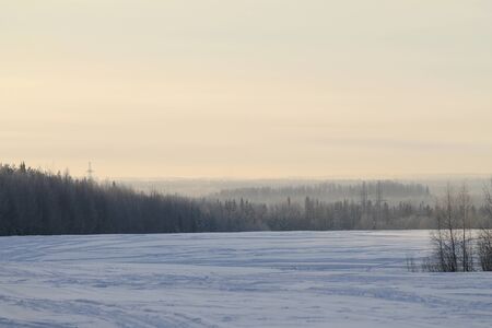 Winter nature landscape with snowy field and trails, forest and cloudy gray sky on background. Stock photo for web, print, wallpaper and background with empty space for textの写真素材