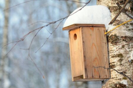 Wooden birdhouse hanging on tree in park on clear winter day. Concept of caring for animals, helping...