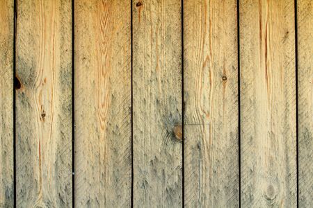 Light yellow wooden wall from boards. Retro texture design template.の写真素材