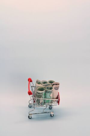 Shopping cart with Russian money. Paper bills and a souvenir shopping basket.の写真素材