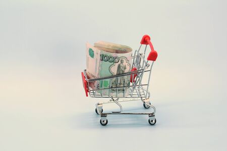 Shopping cart with Russian money. Paper bills and a souvenir shopping basket.の写真素材