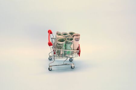 Shopping cart with Russian money. Paper bills and a souvenir shopping basket.の写真素材