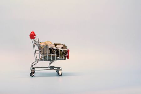 Shopping cart with Russian money. Metal coins and a souvenir shopping basket.の写真素材