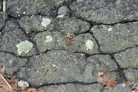 Old black cracked asphalt with dry leaves. Worn road surface. The texture of the asphalt.の写真素材