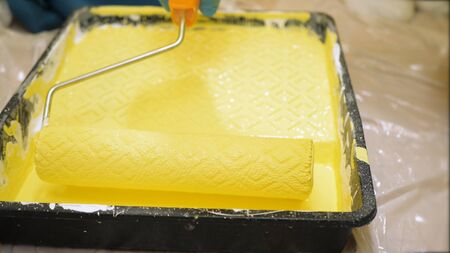Roller is dipped in yellow paint in tray. Wall painting conceptの写真素材