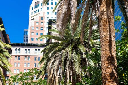Los Angeles skyline.  Downtown District; Skyscraperの写真素材