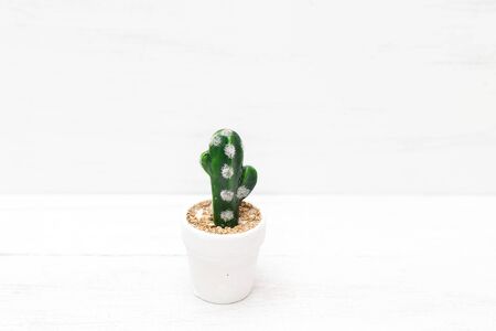 Cactus in a flowerpot on a white wooden table. Mininmalist designの写真素材