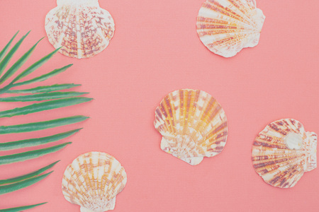Seashells and living coral background. Color of the year 2019