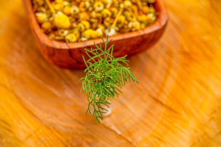 Chamomile with dry chamomile on wooden backgropund. Healthy lifestyleの写真素材