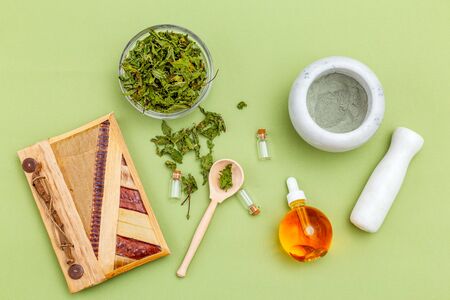 Organic skib care. Natural ingredients on green background. Flat layの写真素材