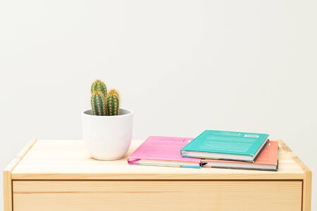 Cactus and  books on wooden shelf. Life style. Minimalis.  Readingの写真素材