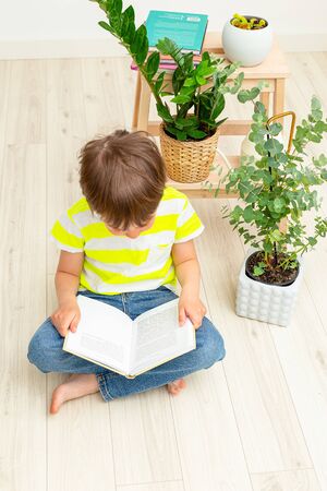 A boy reads a book at home on the floor among indoor plants. Vertical format. Life styleの写真素材