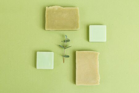 Organic skin care. Green monochrome. Minimalism. Flat layの写真素材