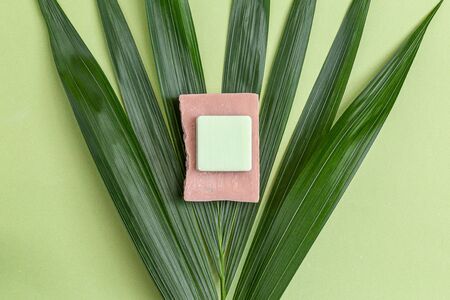 Pink and green natural soap on  palm tree. Minimalism. Still lifeの写真素材