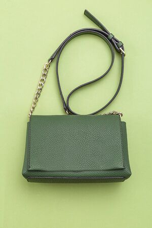 Handbag green color on green background.  Monochrome. Vertical format. Feminine accessoriesの写真素材