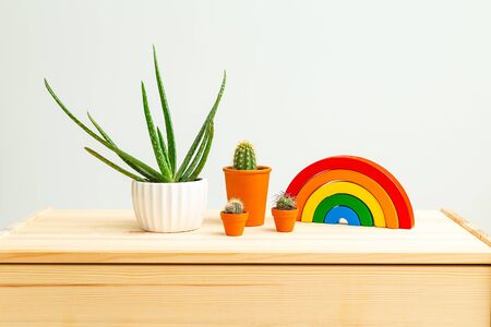 Children's wooden toys rainbow and Houseplant on wooden shelf. Life styleの写真素材