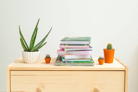 Houseplant and books on a wooden shelf. Slow entertainment. Readingの写真素材