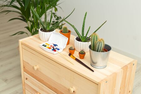 Houseplant and watercolor with  brush on a wooden shelf. Slow entertainment. Art