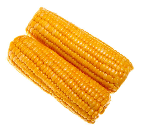 Ripe sweet corn isolated on a white background.の写真素材