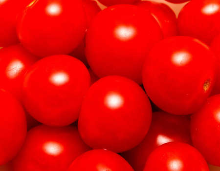 Fresh tomatoes の写真素材